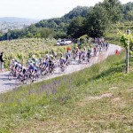 fotobolgan_2017-04-23_0842