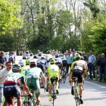 fotobolgan_2017-04-23_1097