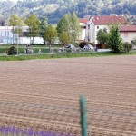 fotobolgan_2017-04-23_1554