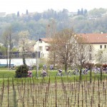 fotobolgan_25-04-13_1267